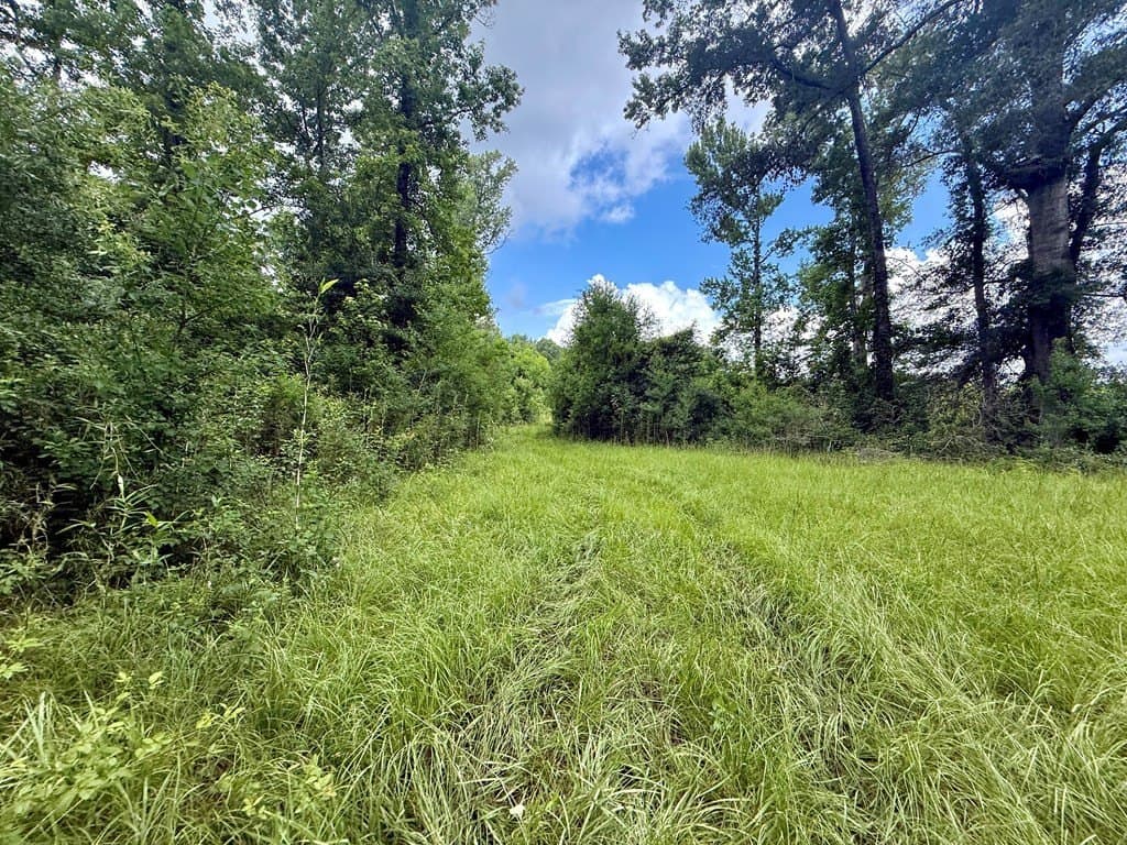 100 acres in Texas County - photo 40