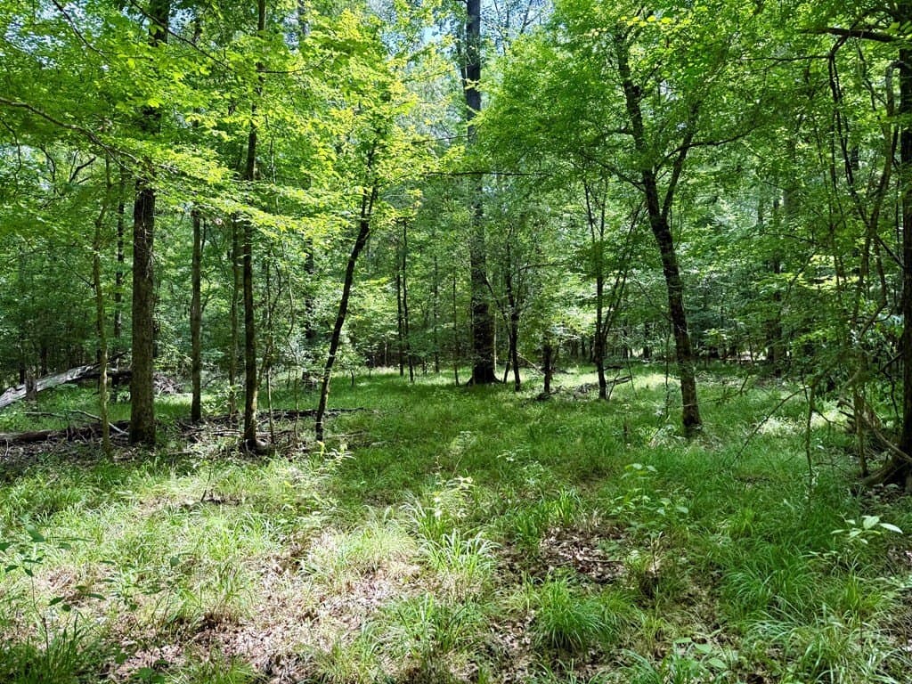 100 acres in Texas County - photo 60