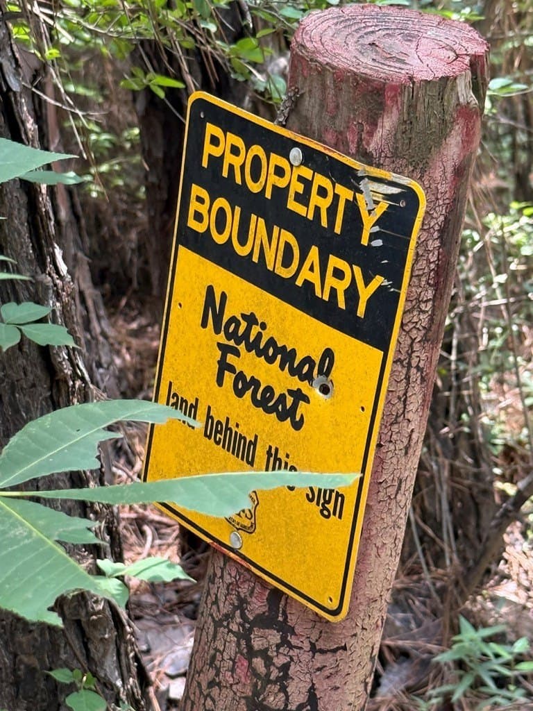 100 acres in Texas County featured view