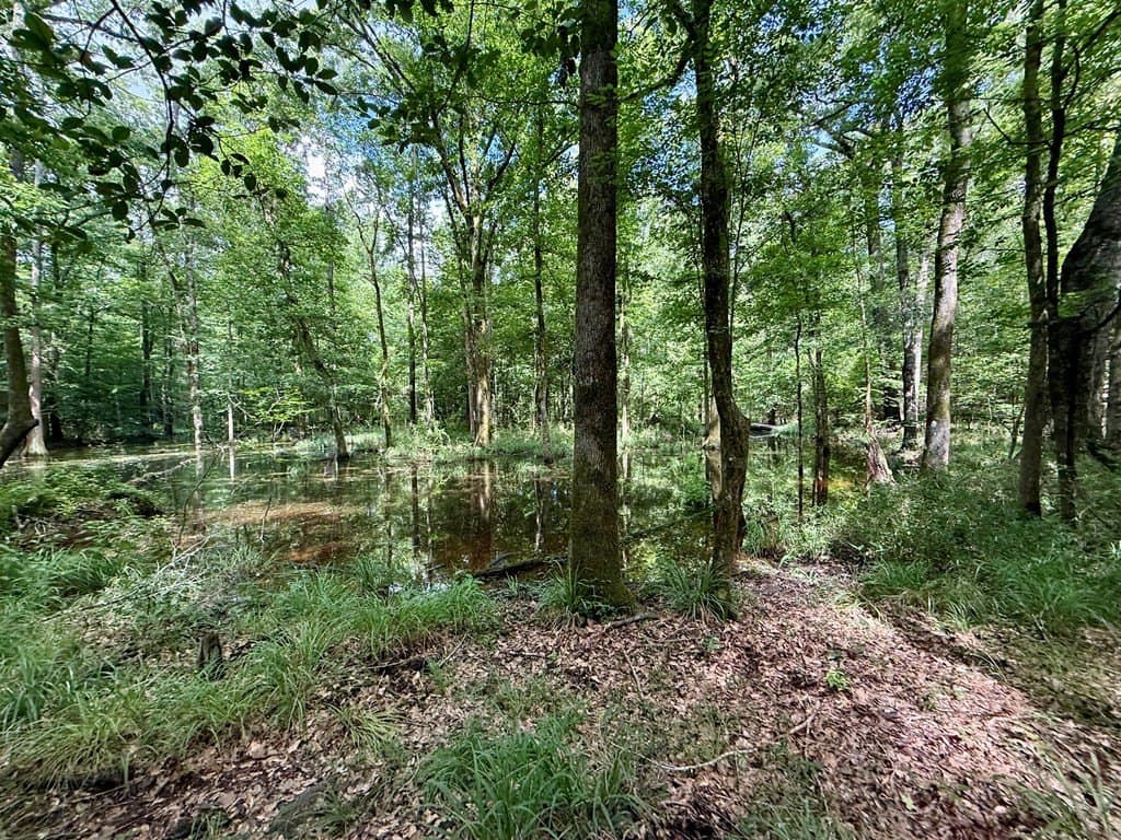 100 acres in Texas County - photo 57