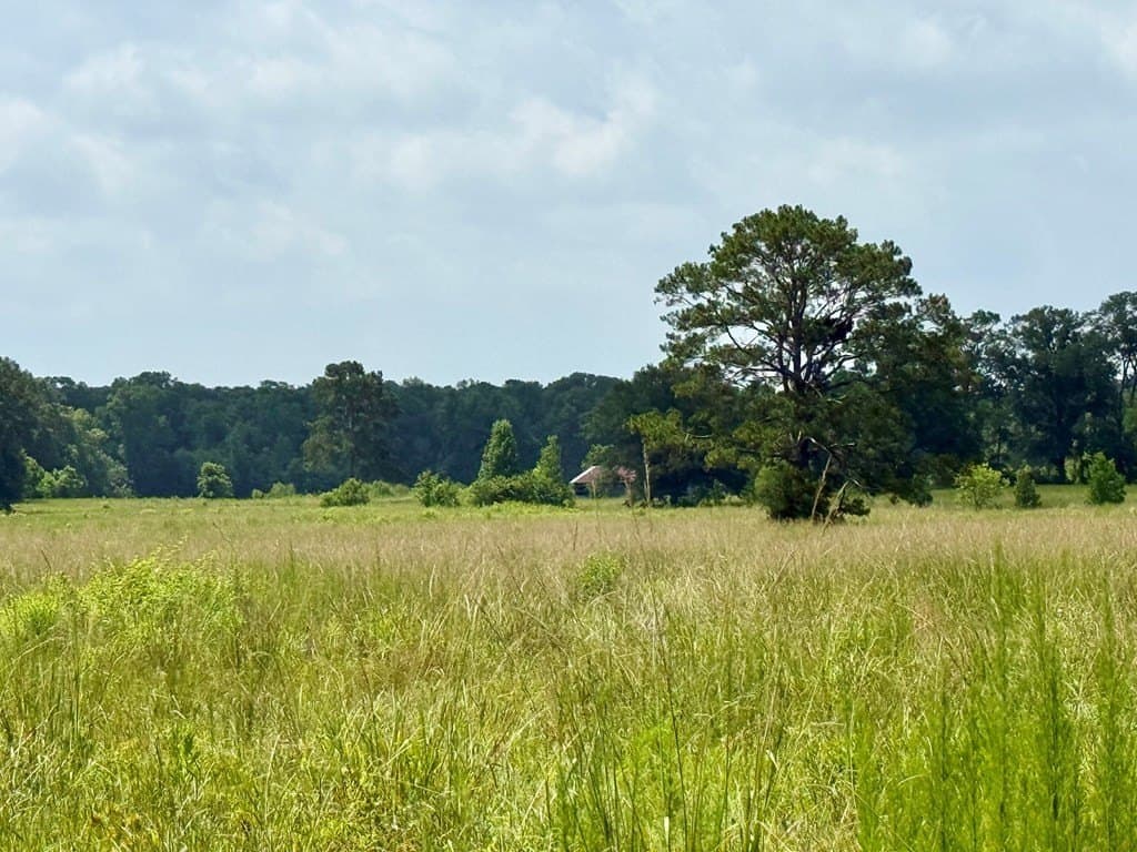 100 acres in Texas County - photo 18