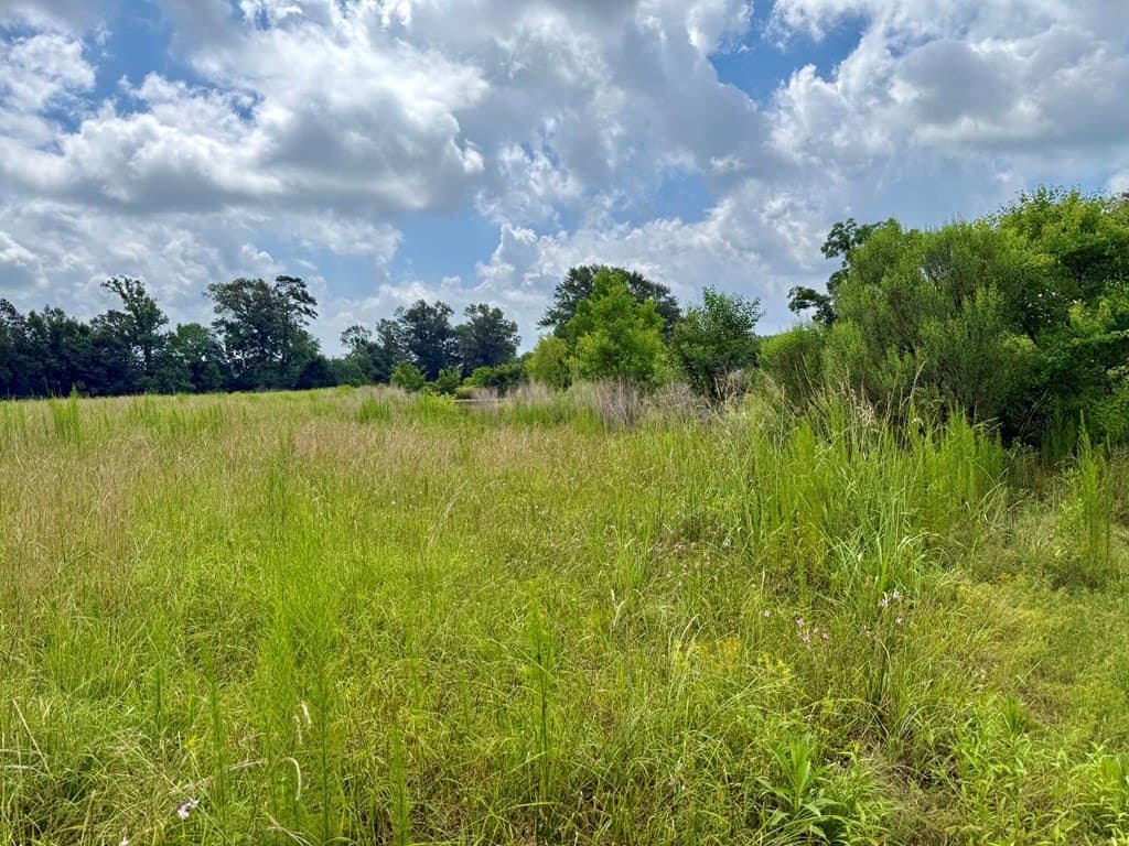 100 acres in Texas County - photo 31