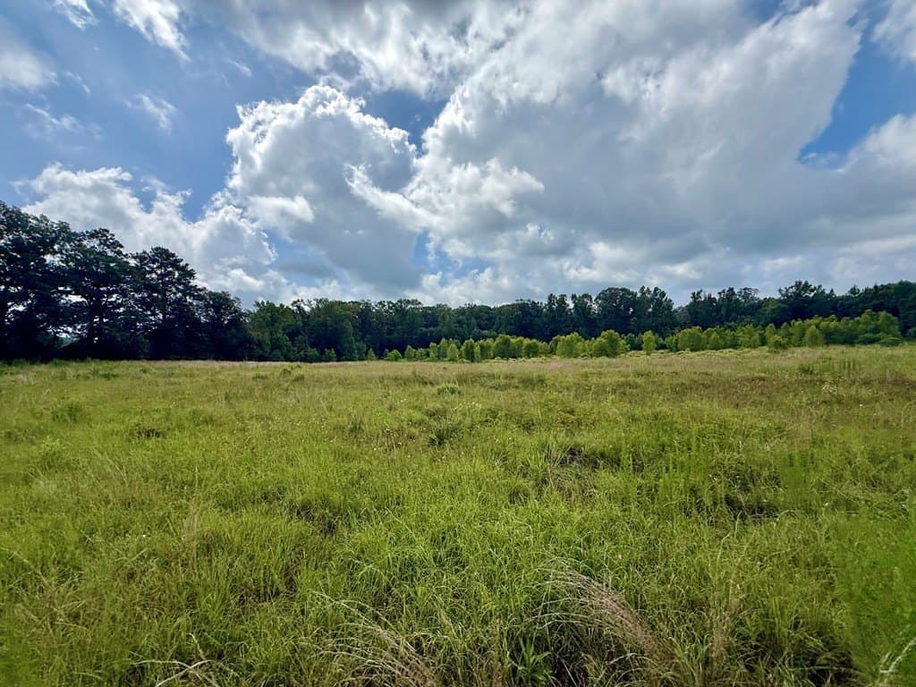 100 acres in Texas County - photo 35