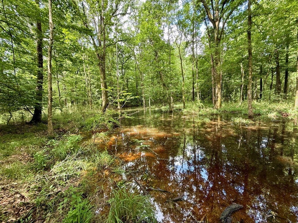 100 acres in Texas County - photo 53