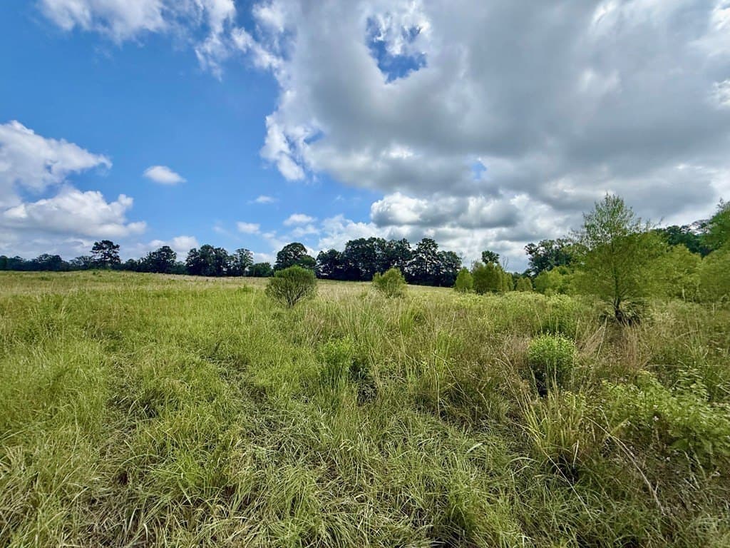 100 acres in Texas County - photo 38