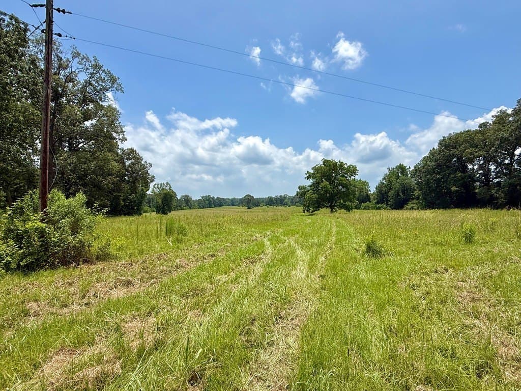 100 acres in Texas County - photo 23