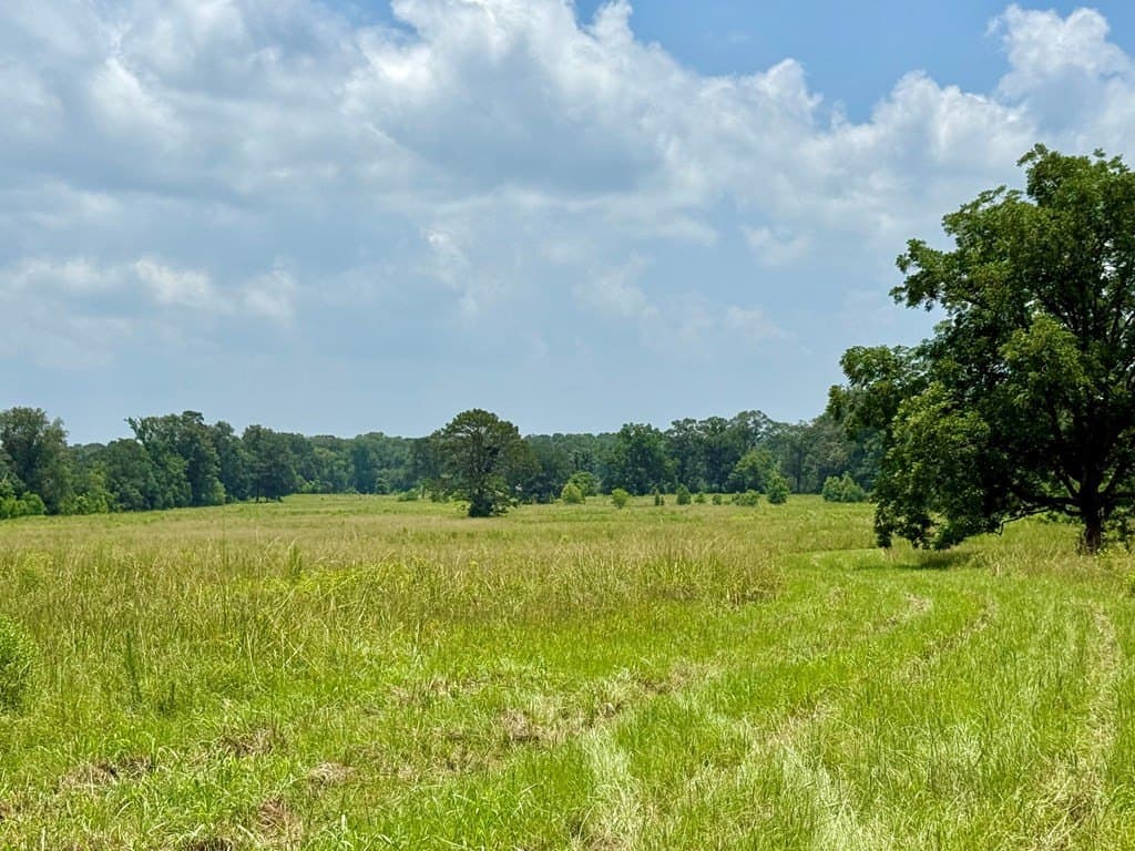 100 acres in Texas County - photo 22