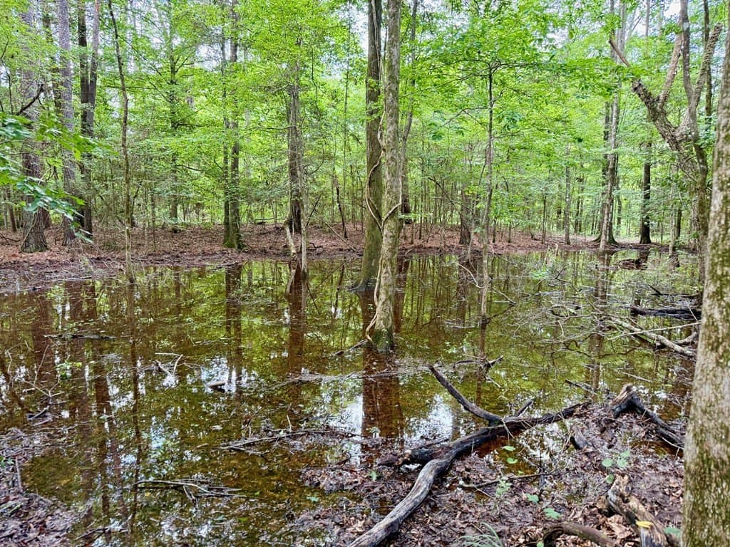 100 acres in Texas County - photo 48