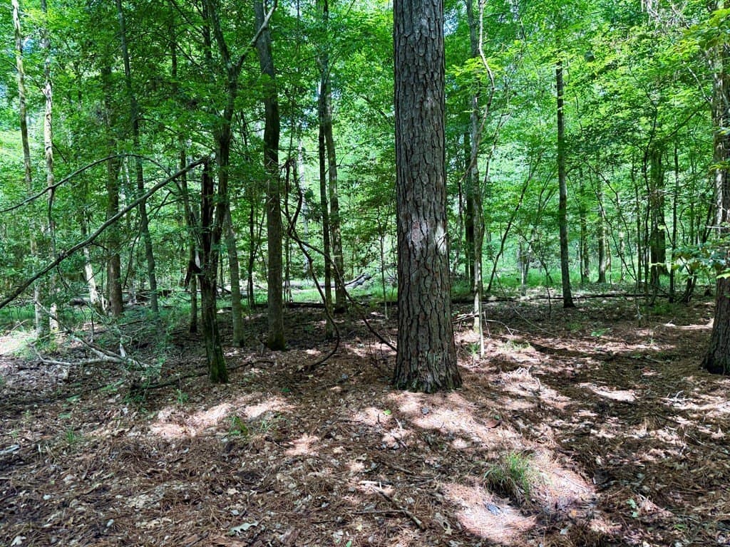 100 acres in Texas County - photo 62