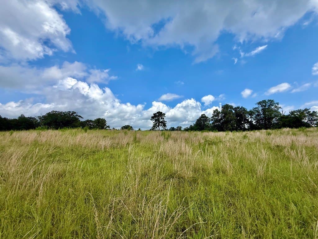100 acres in Texas County - photo 34