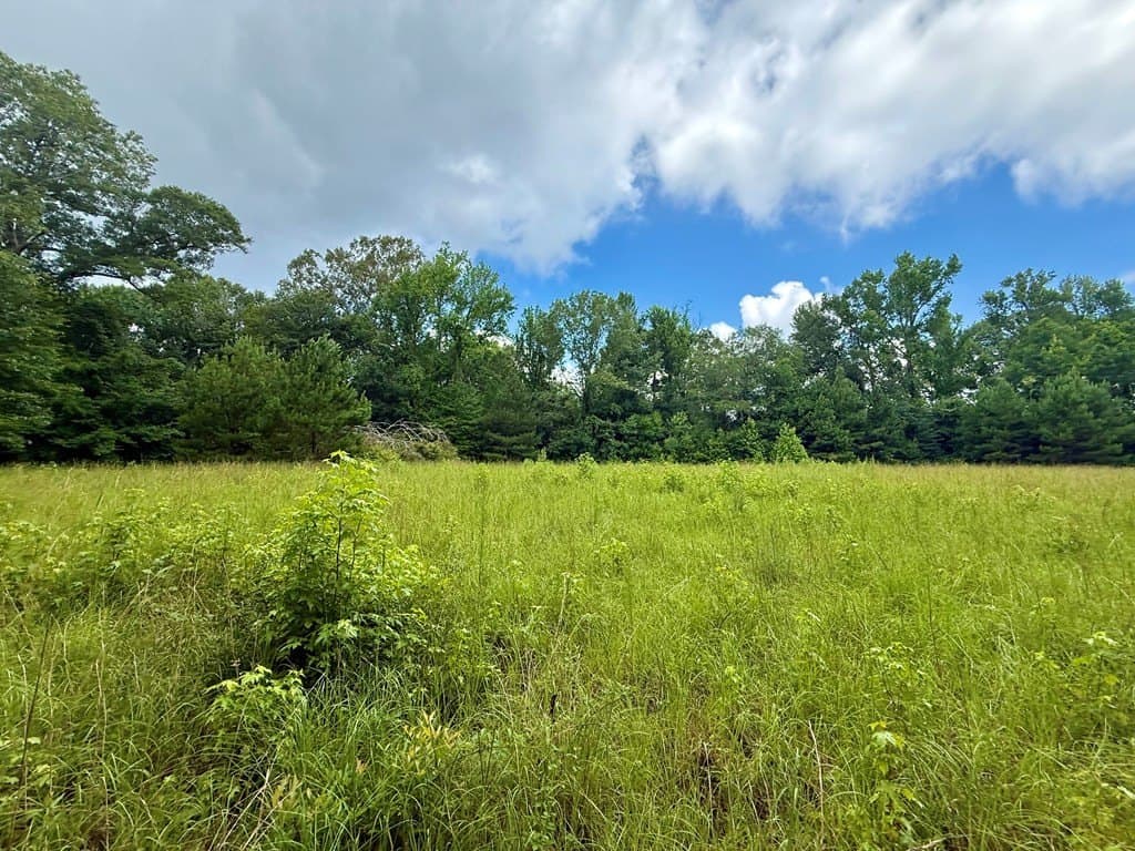 100 acres in Texas County - photo 42