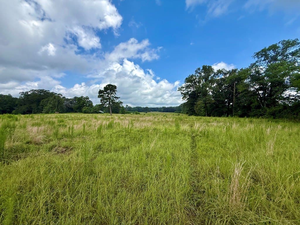 100 acres in Texas County - photo 33