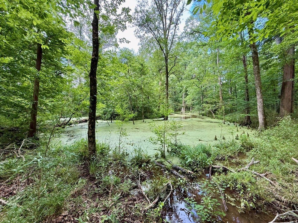 100 acres in Texas County - photo 59