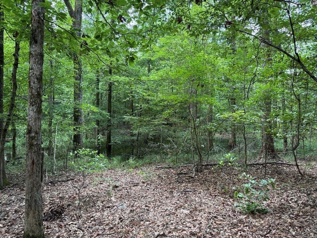 100 acres in Texas County - photo 52