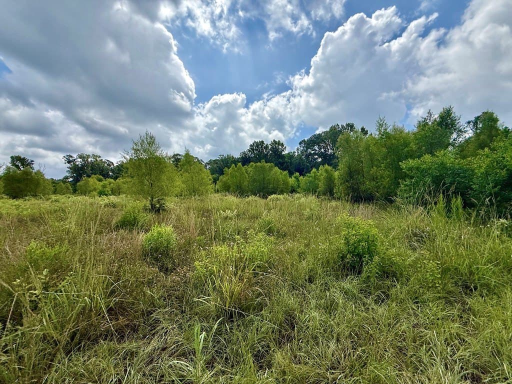 100 acres in Texas County - photo 37