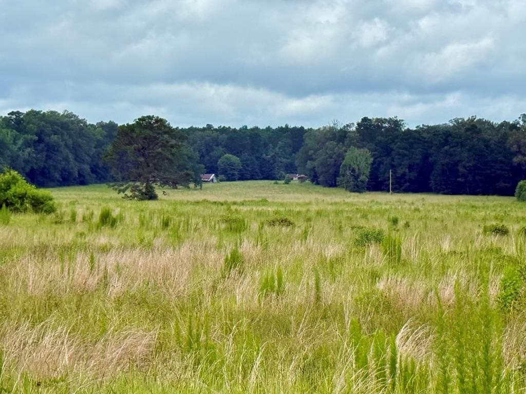 100 acres in Texas County