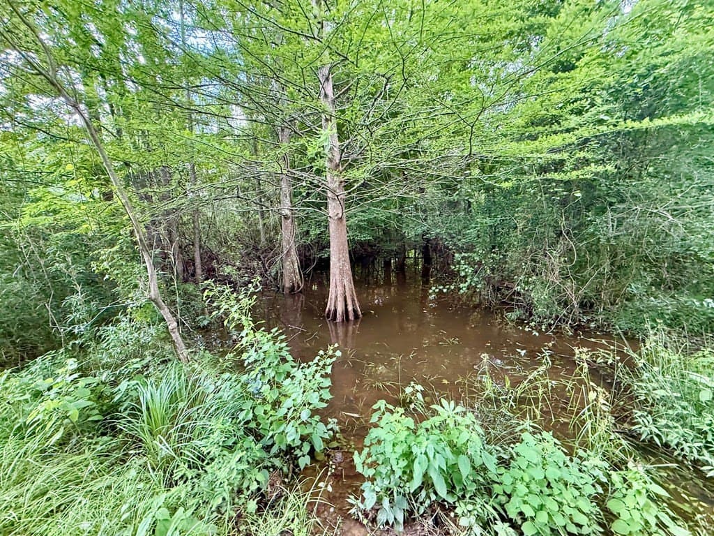 100 acres in Texas County - photo 39