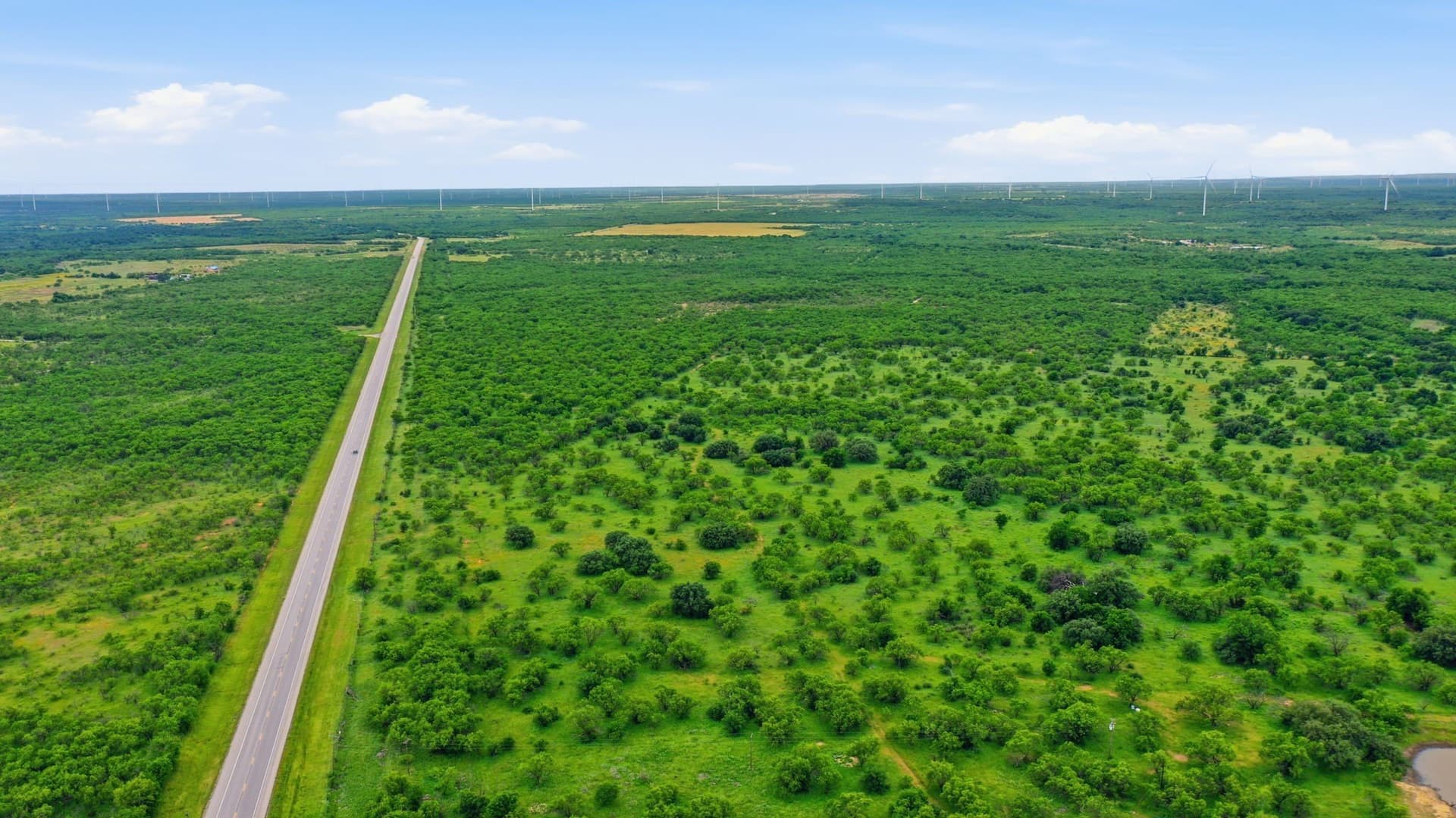 256 acres in Shackelford County - photo 11