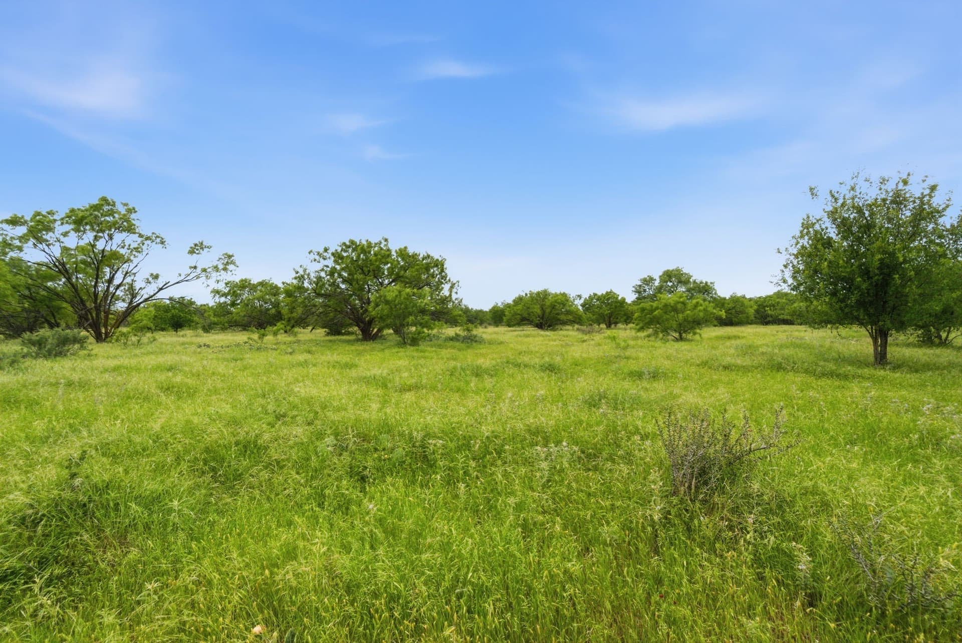 256 acres in Shackelford County - photo 2