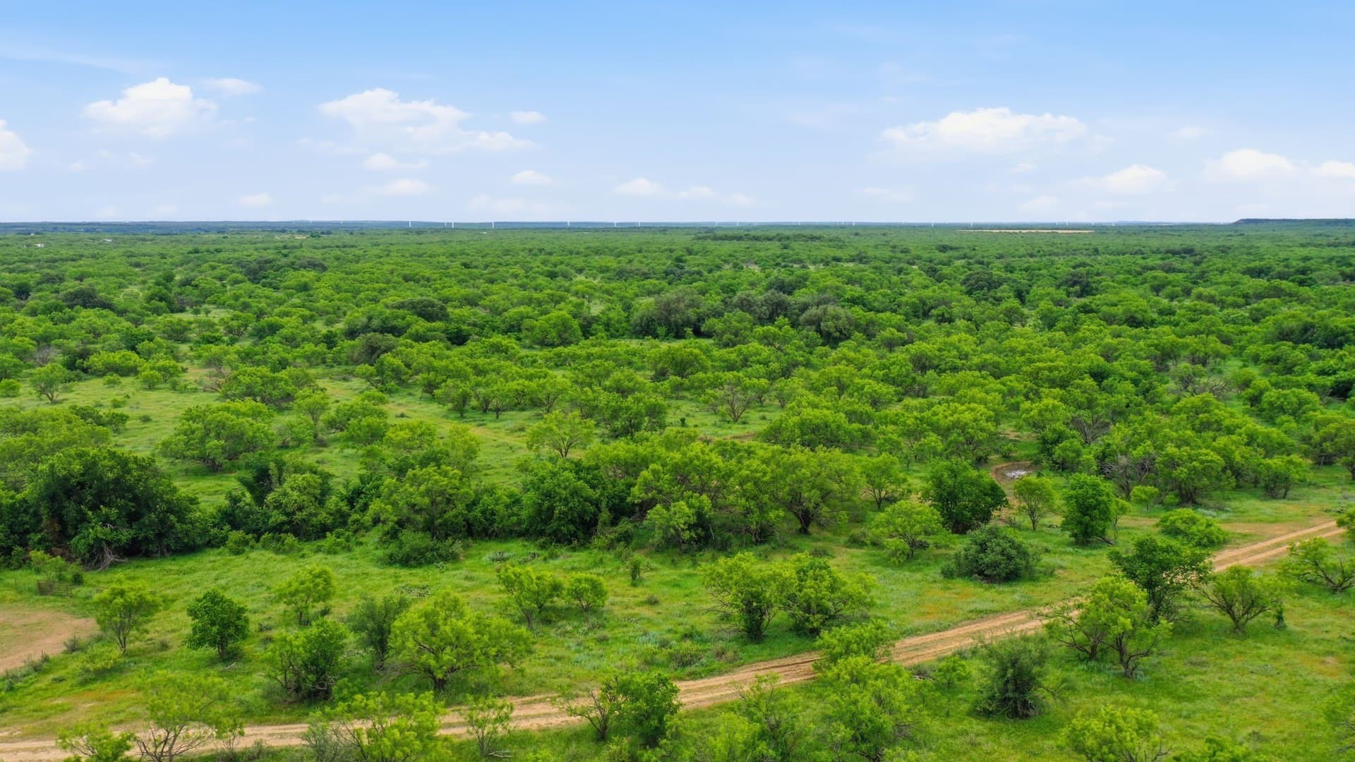 256 acres in Shackelford County - photo 13