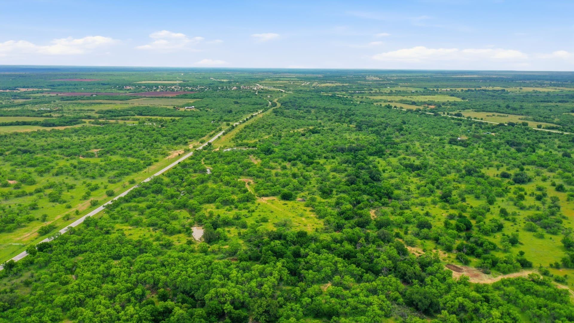 256 acres in Shackelford County - photo 6