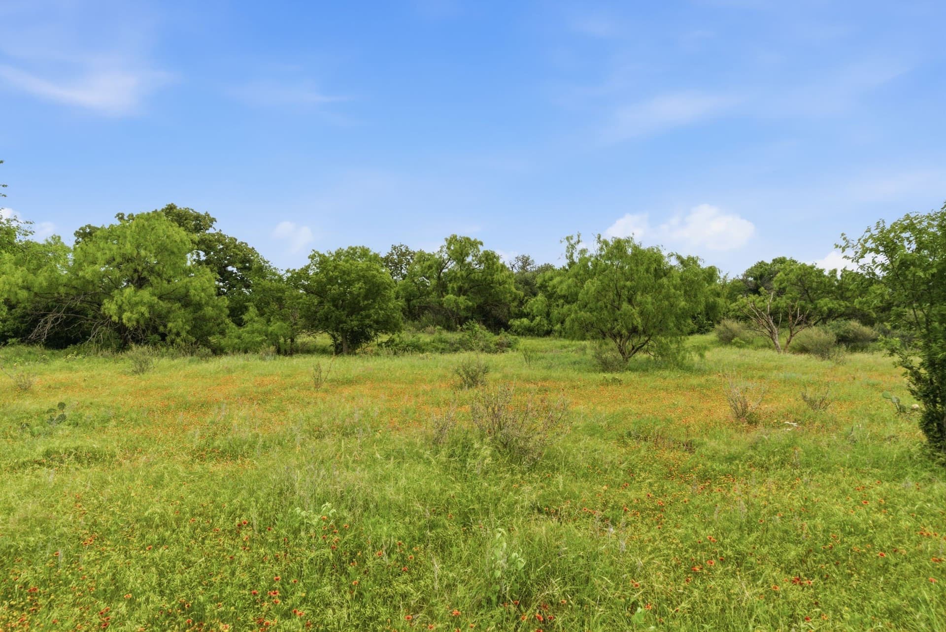 256 acres in Shackelford County - photo 3