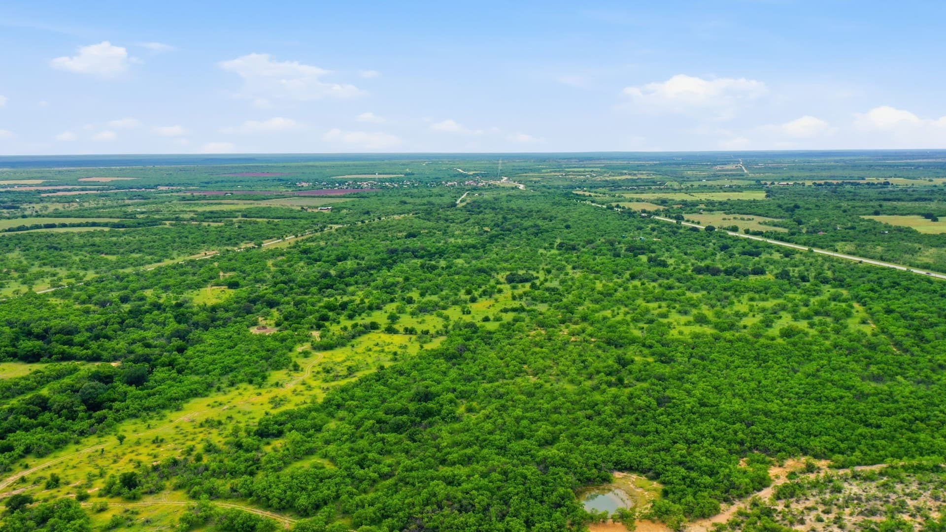256 acres in Shackelford County - photo 7