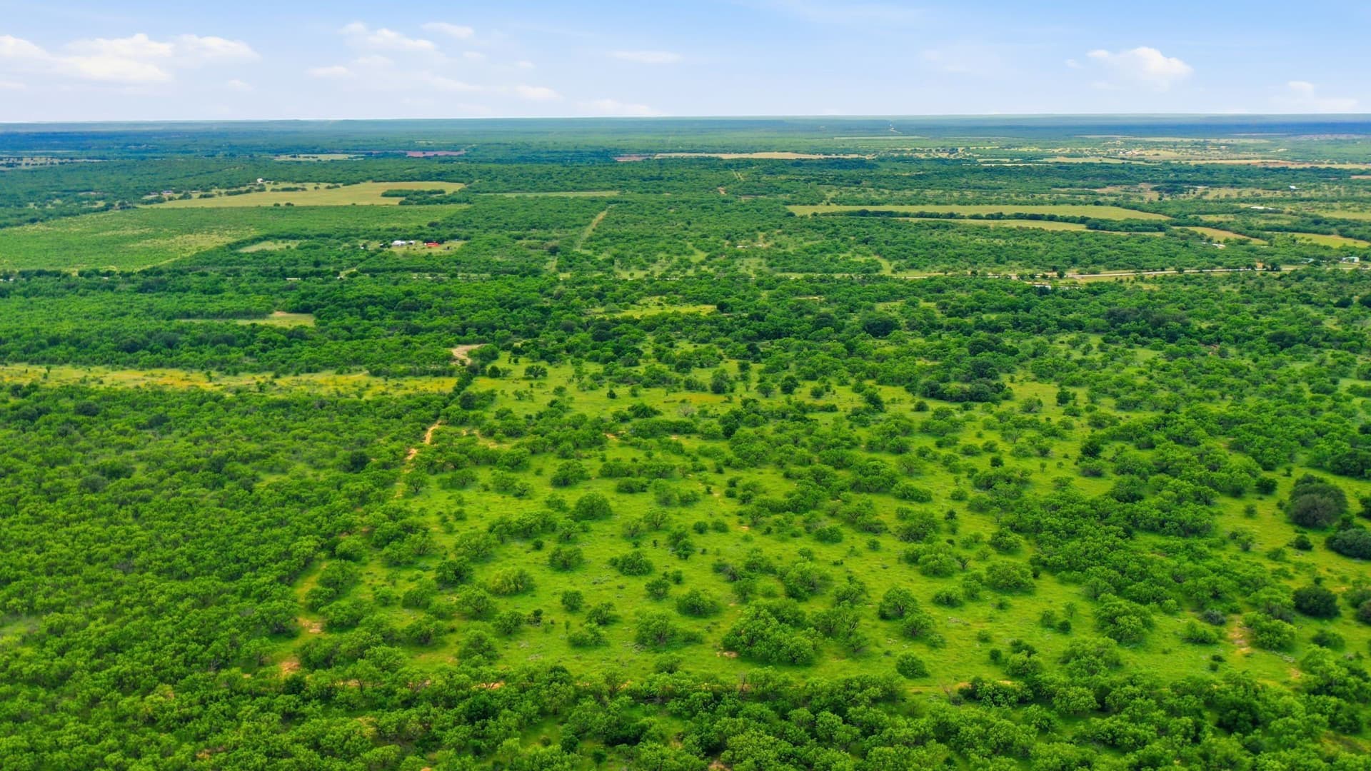 256 acres in Shackelford County - photo 8