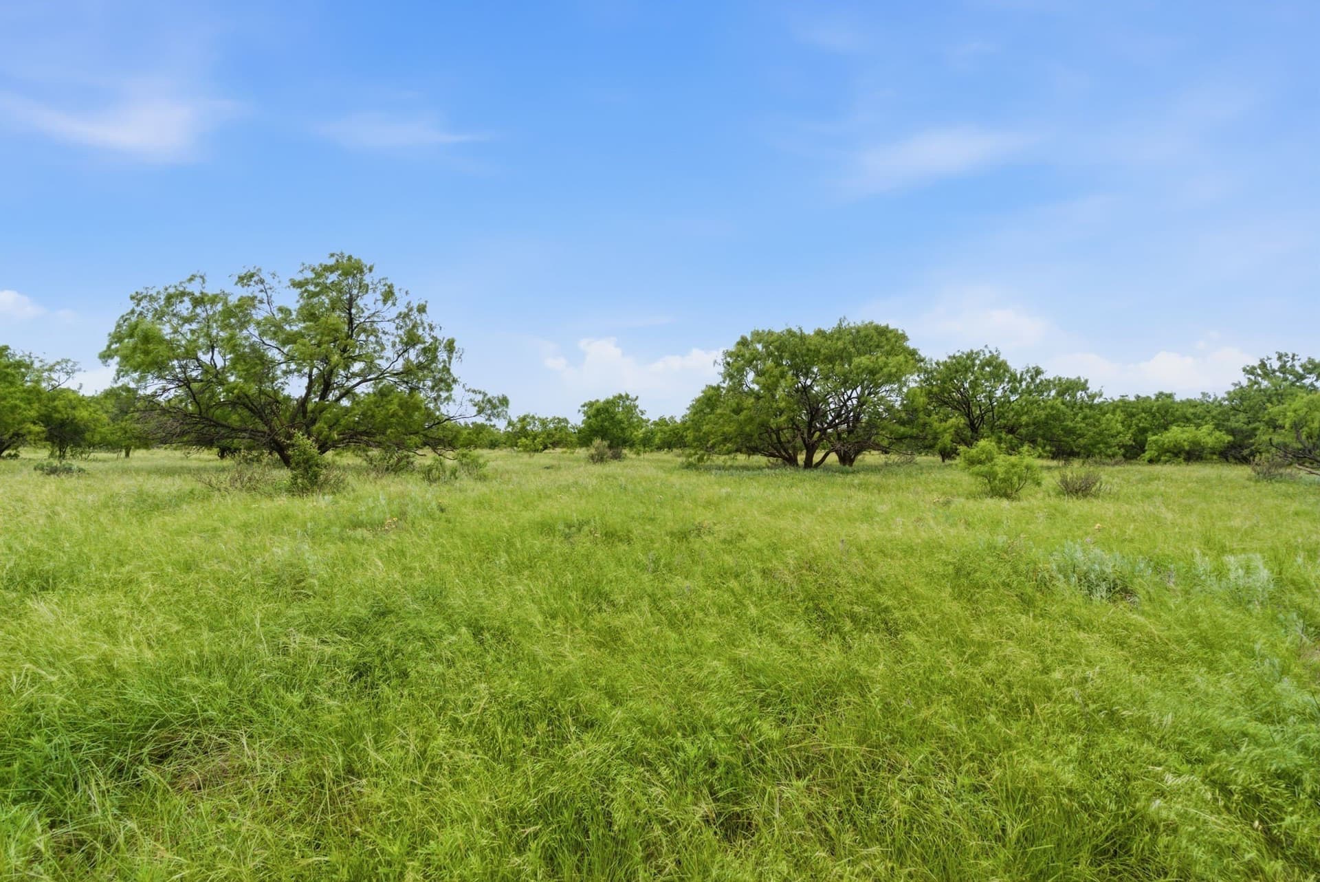 256 acres in Shackelford County
