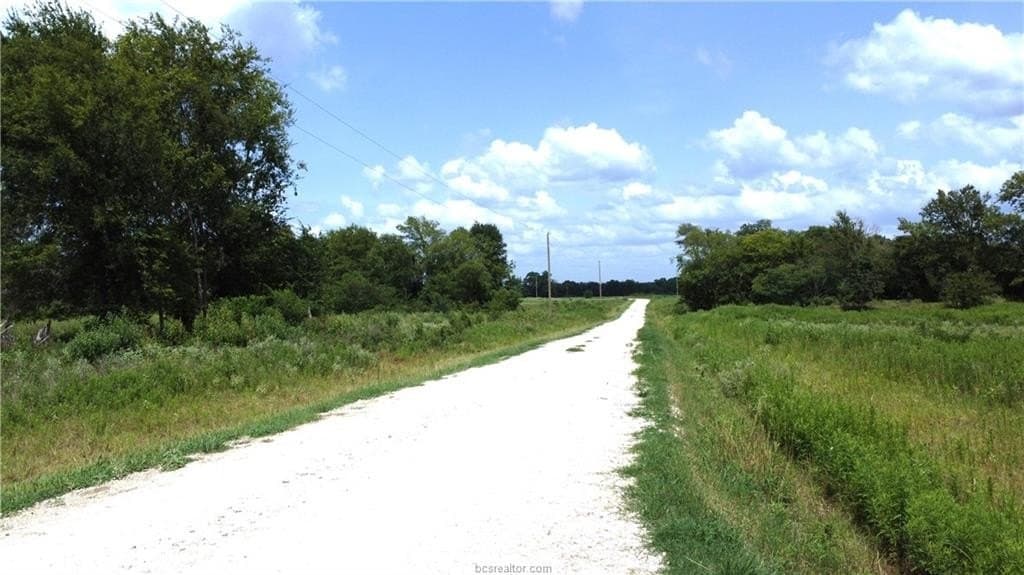 10.01 acres in Houston County gallery image 3