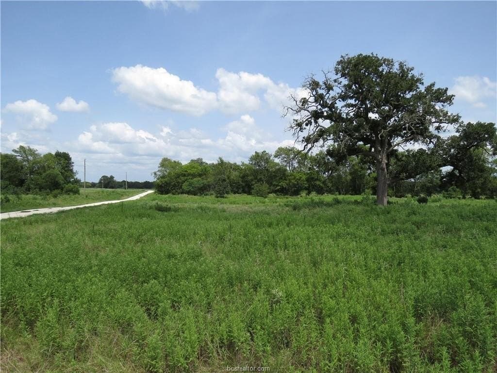 10.01 acres in Houston County gallery image 4