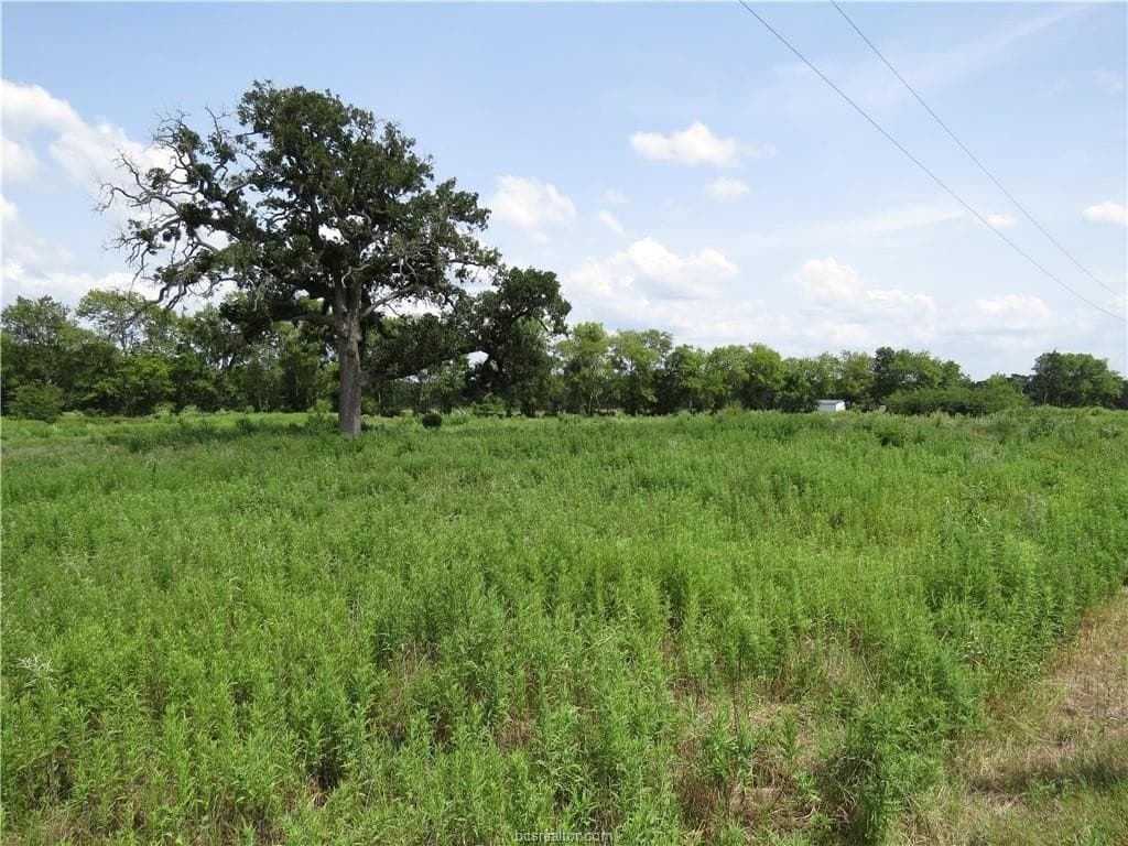 10.01 acres in Houston County featured view
