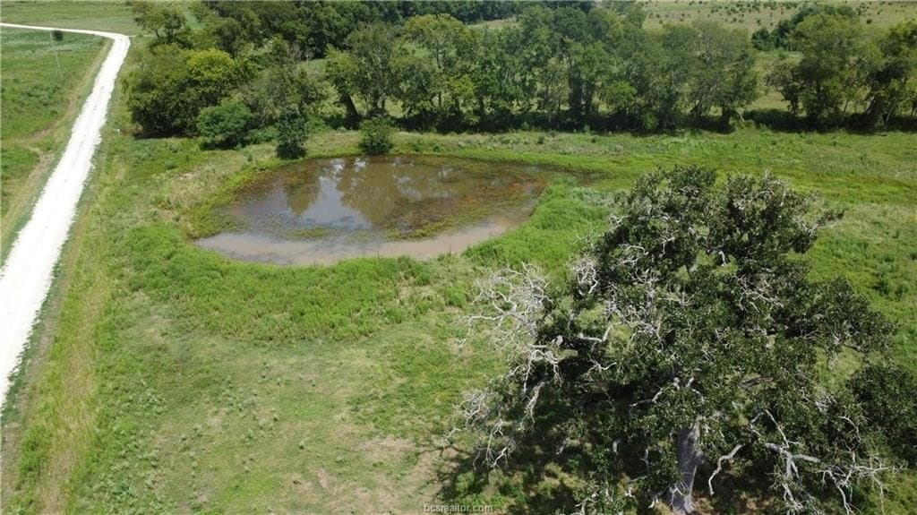 10.01 acres in Houston County - photo 7