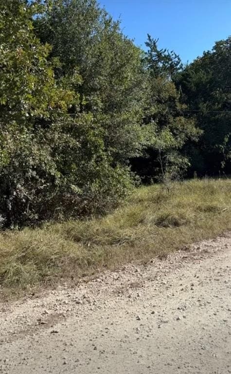 0.39 acres in Navarro County gallery image 4