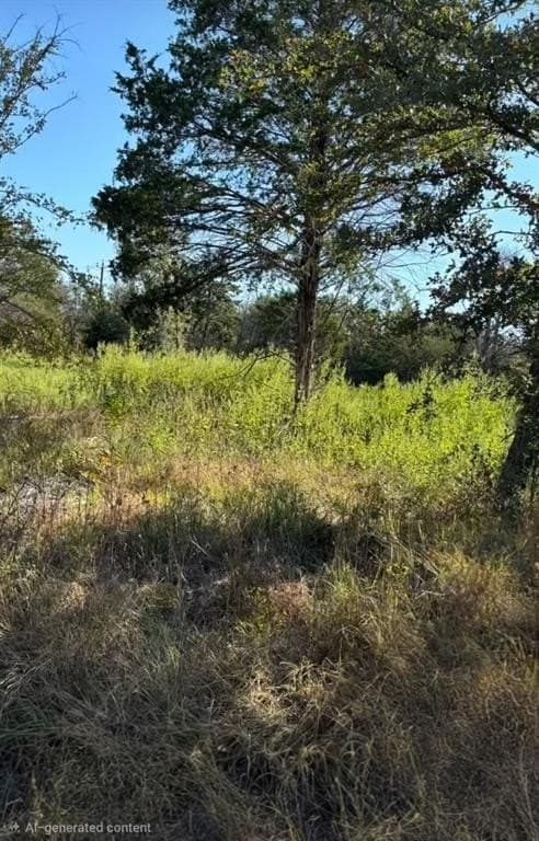 0.39 acres in Navarro County gallery image 3