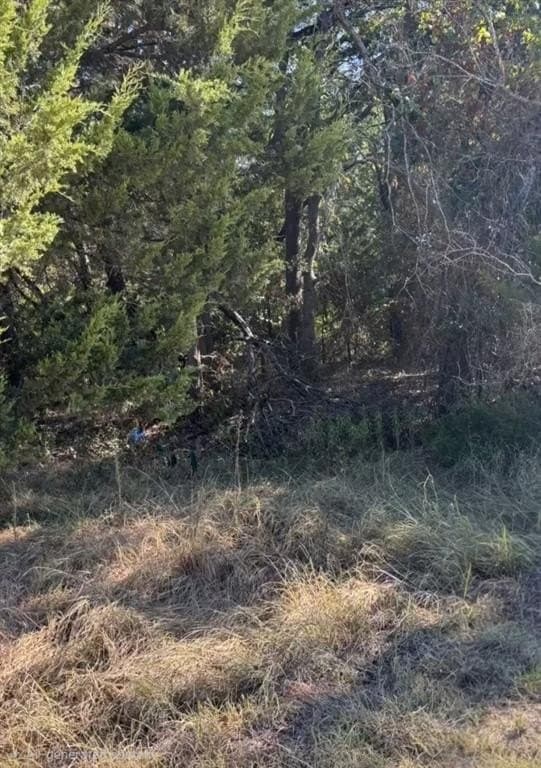 0.39 acres in Navarro County gallery image 2