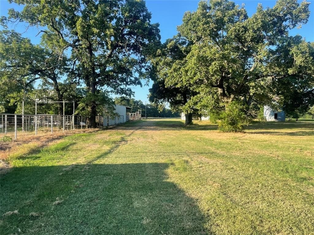 50 acres in Fannin County gallery image 3