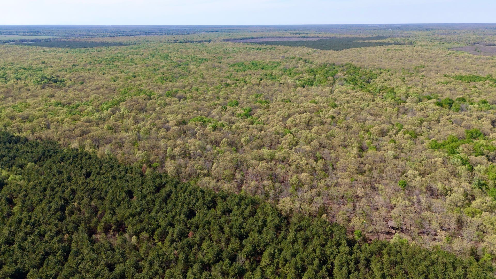 9.74 acres in Red River (TX) County - photo 11