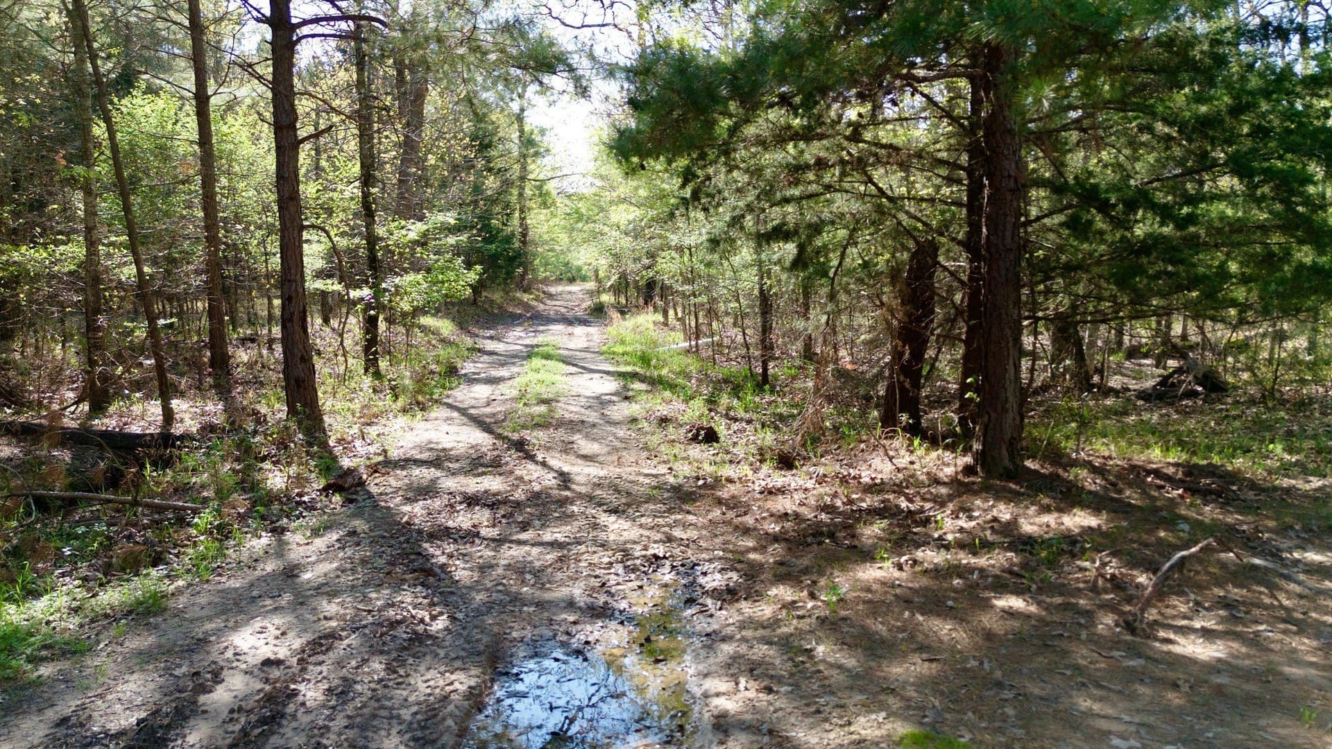 9.74 acres in Red River (TX) County - photo 7