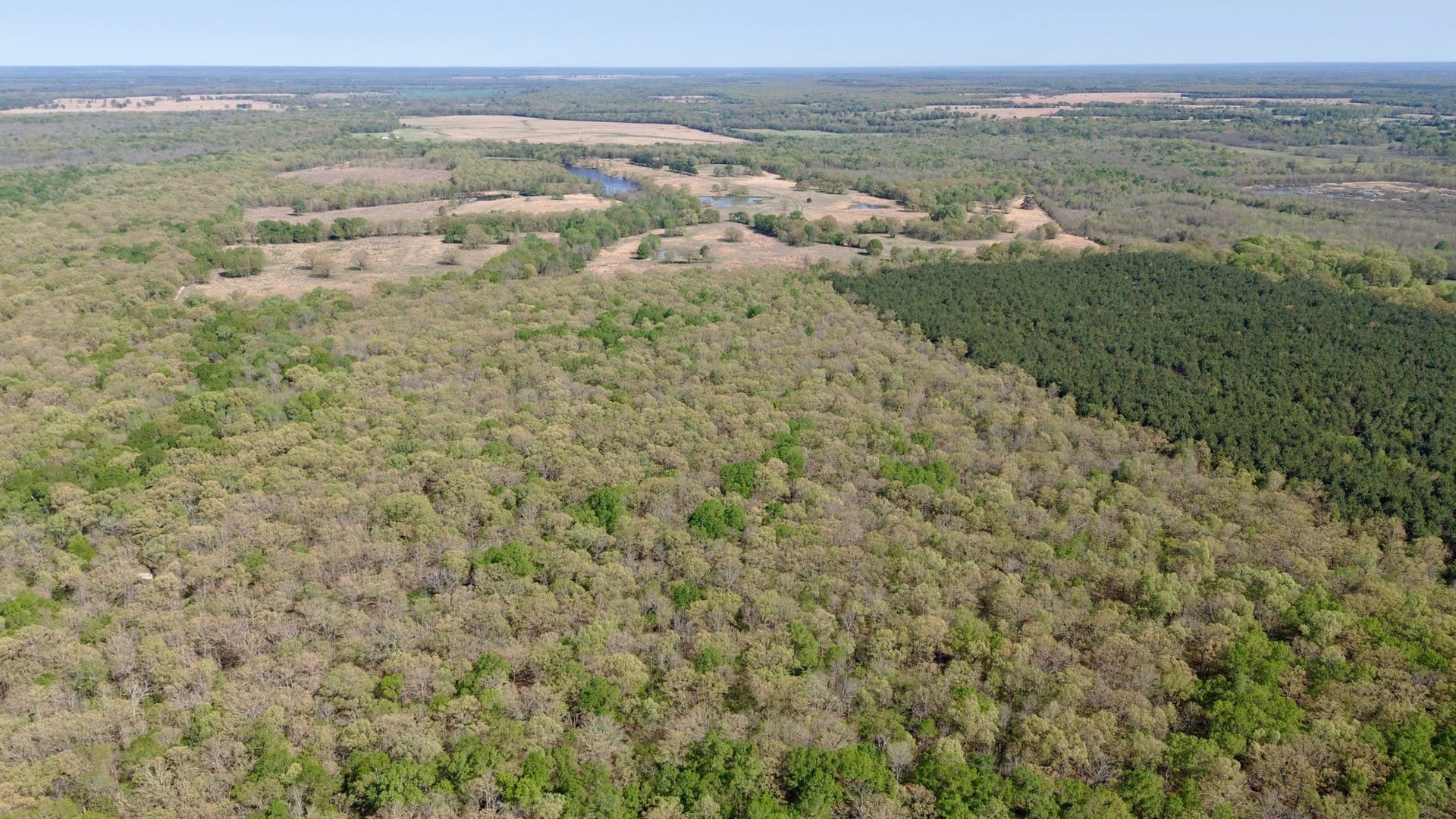 9.74 acres in Red River (TX) County gallery image 3