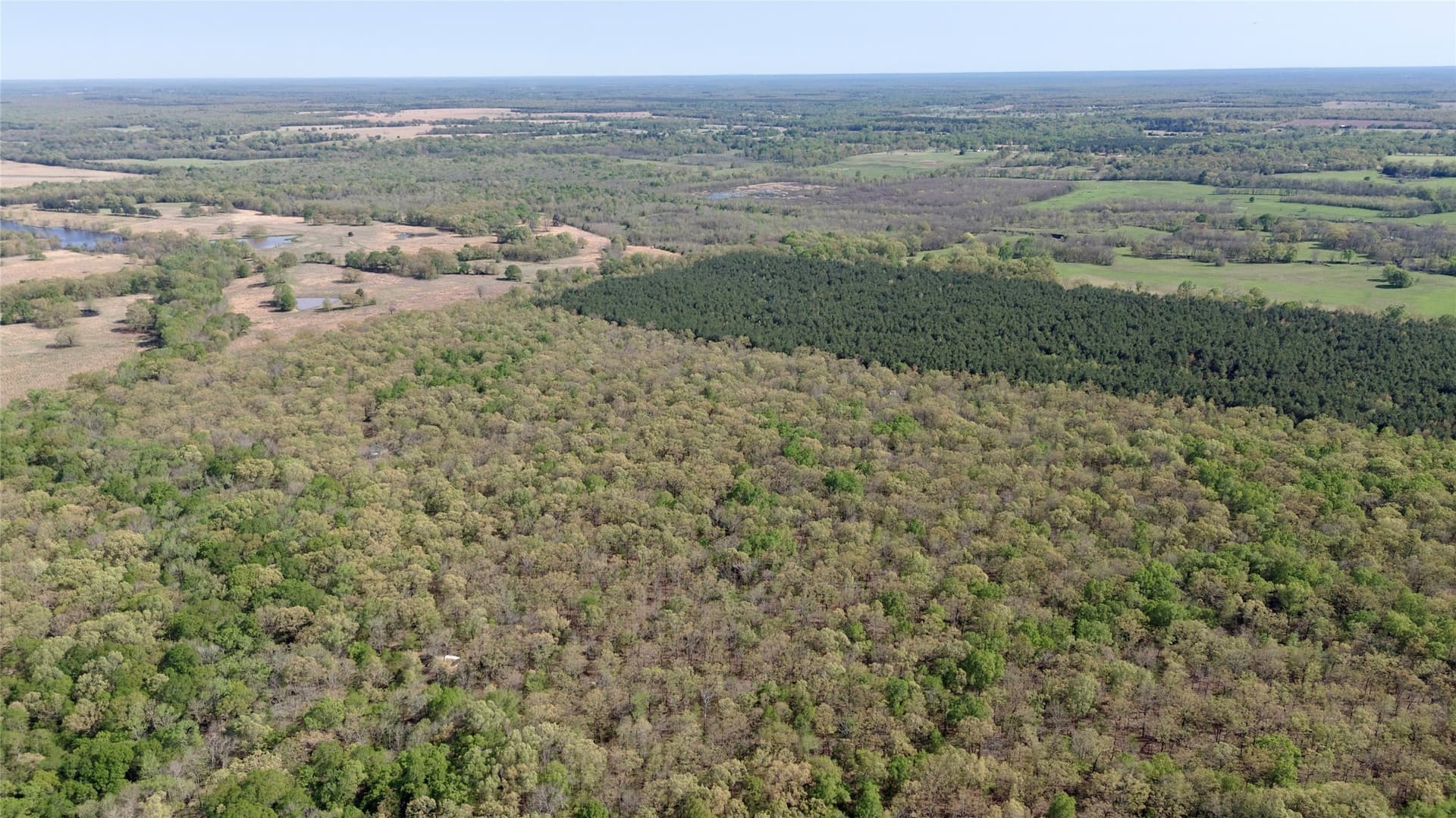 9.74 acres in Red River (TX) County - photo 6