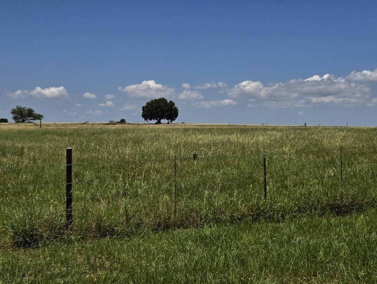 3.01 acres in Burnet County gallery image 3