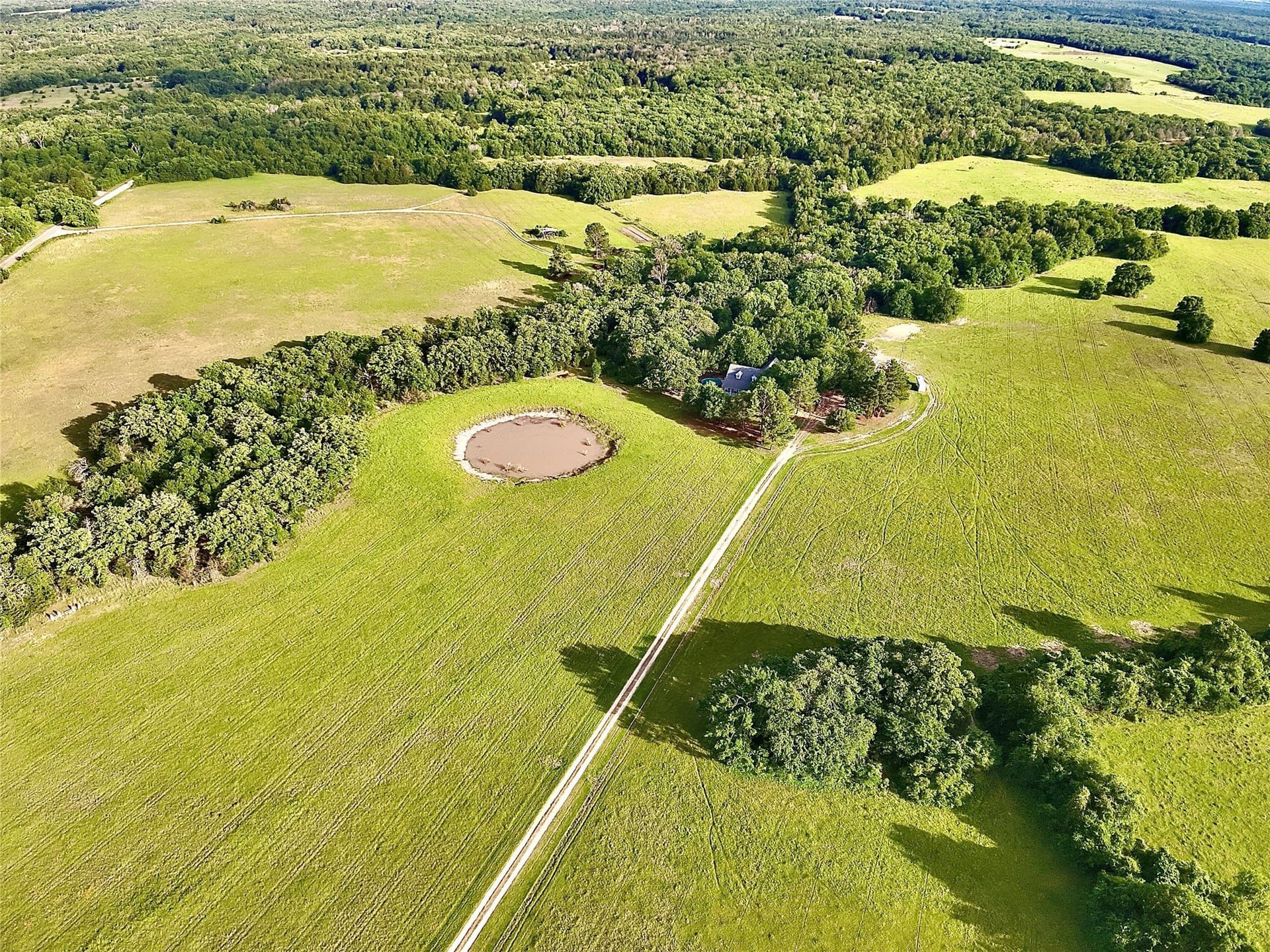 88 acres in Limestone County - photo 2
