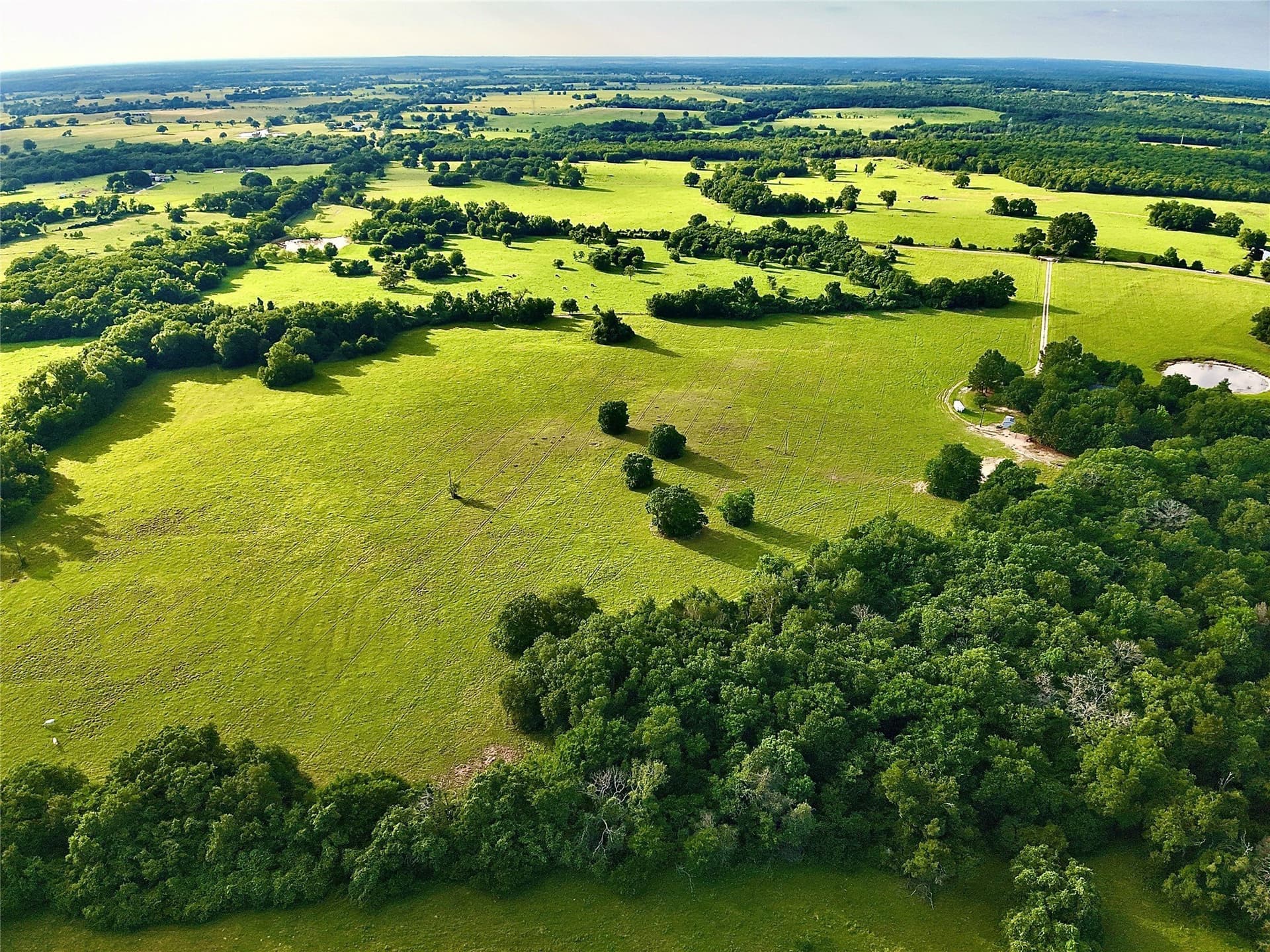88 acres in Limestone County - photo 7