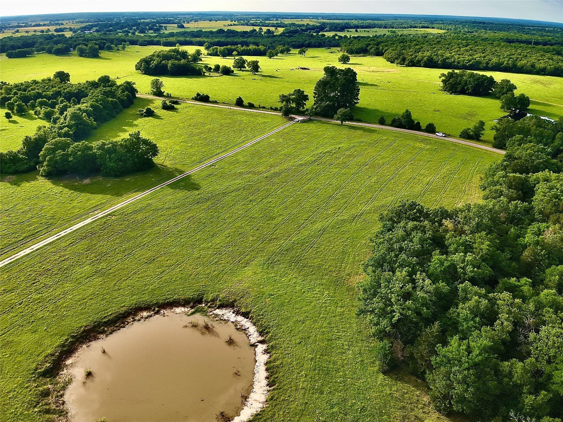 88 acres in Limestone County - photo 14