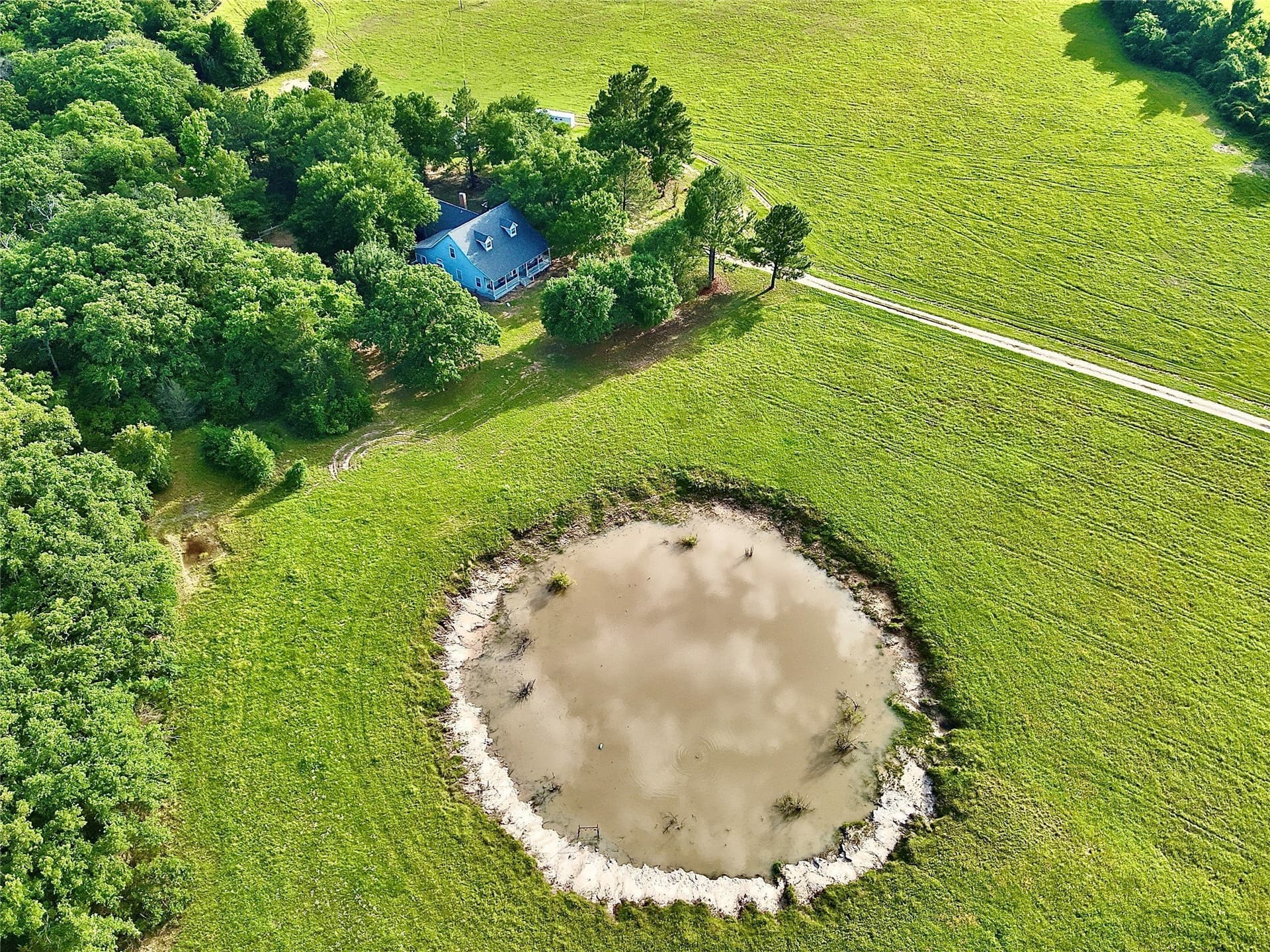 88 acres in Limestone County - photo 16
