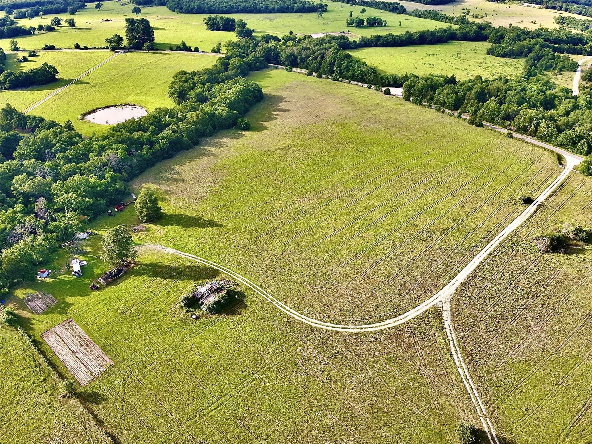 88 acres in Limestone County - photo 9