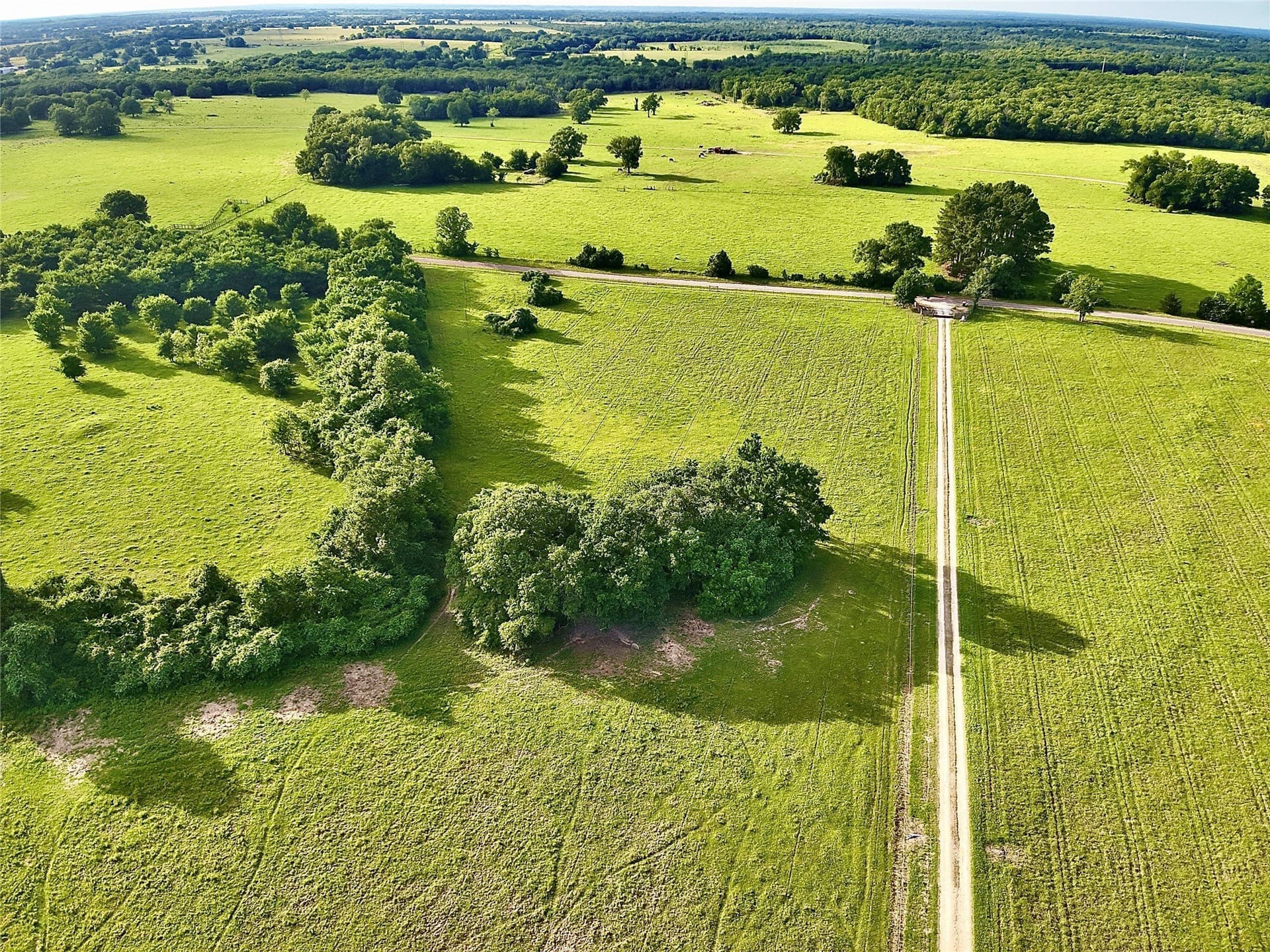 88 acres in Limestone County - photo 13