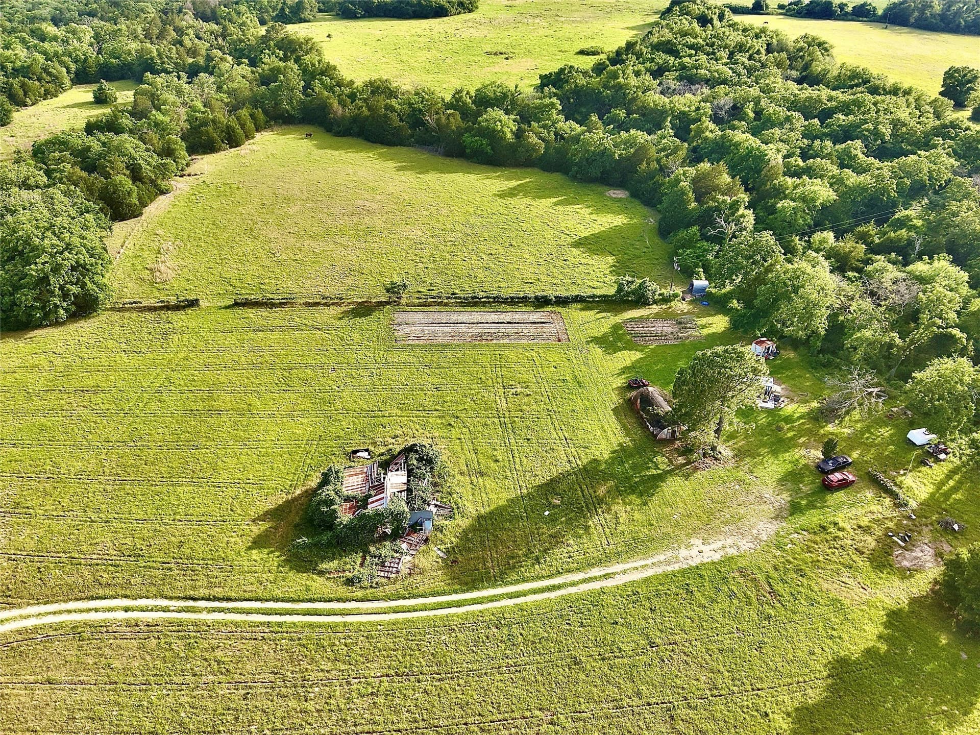 88 acres in Limestone County - photo 10