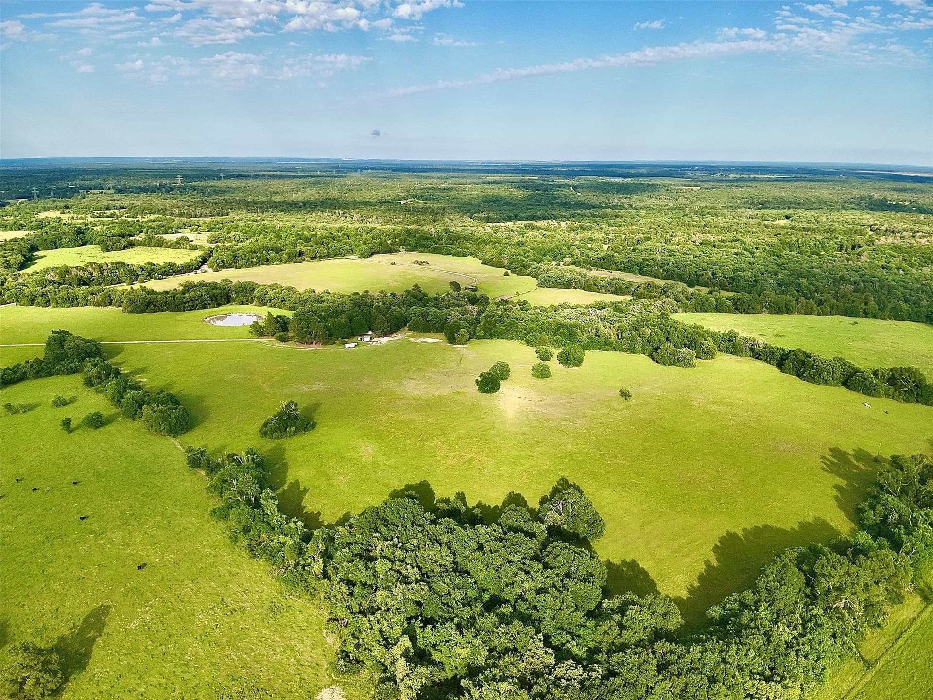 88 acres in Limestone County - photo 5